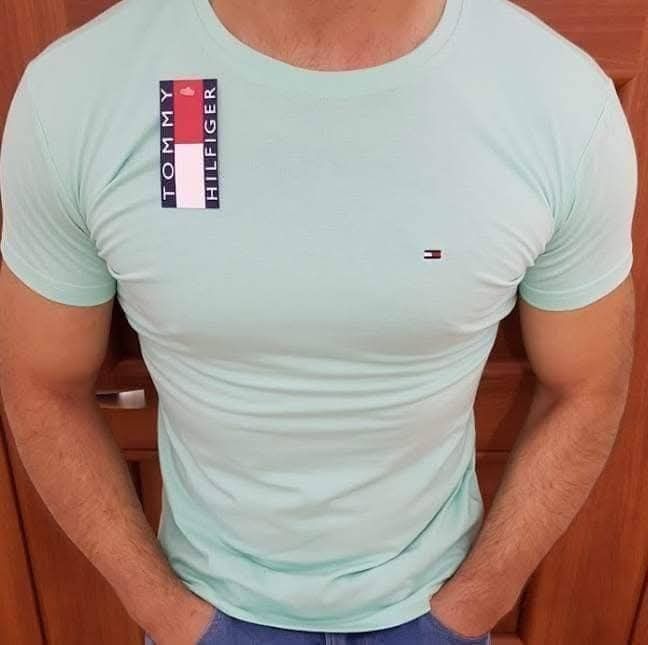 Tommy Hilfiger koszulki męskie M do 2xl logo wyszywane