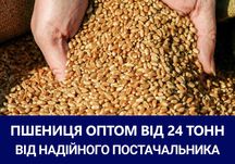 Пшениця фуражна/2-й клас/3-й клас - продаж ОПТ вигідні поставки!