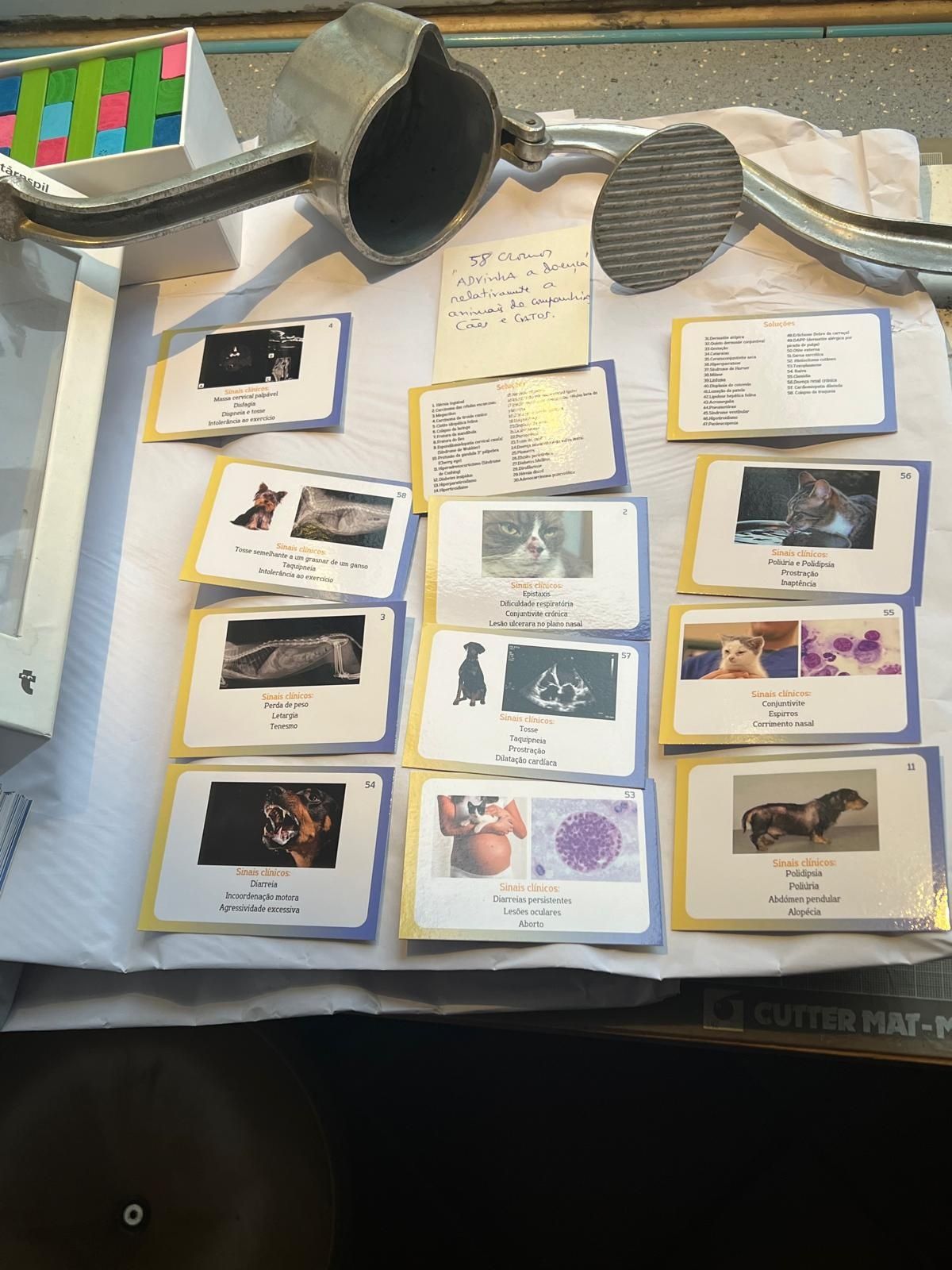 Adivinha a doença - cromos relativamente a casa e gatos