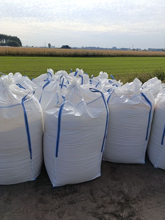 Kukurydza mielona kiszona ccm z dowozem