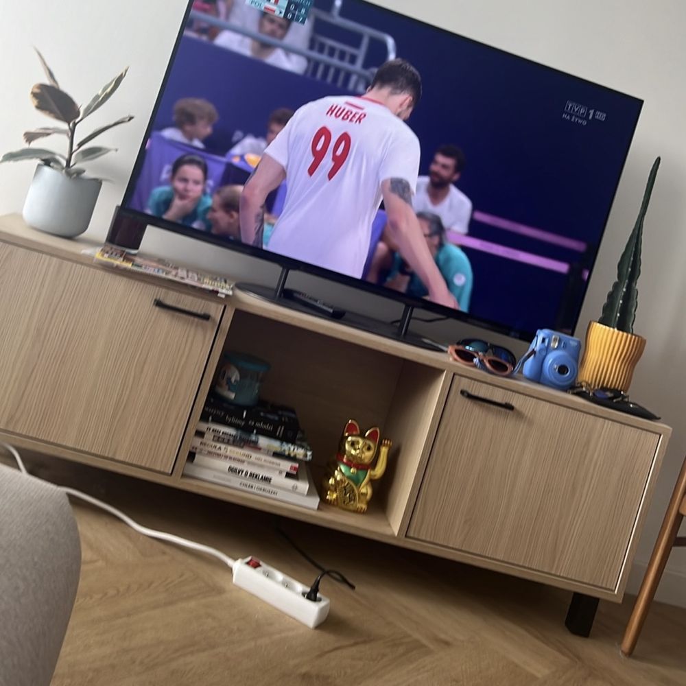 Piękna skandynawska szafka RTV