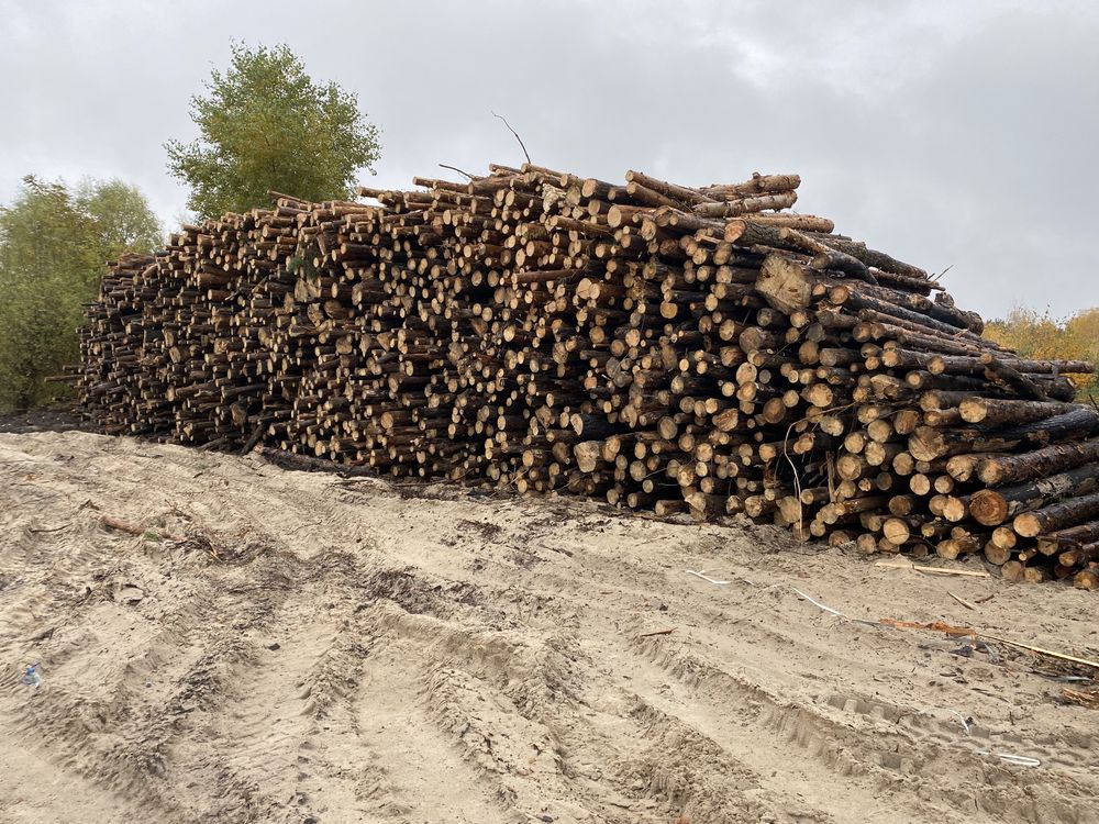 Продам дрова соснові, 2-4 м, 1400 грн. м.куб, доставка.