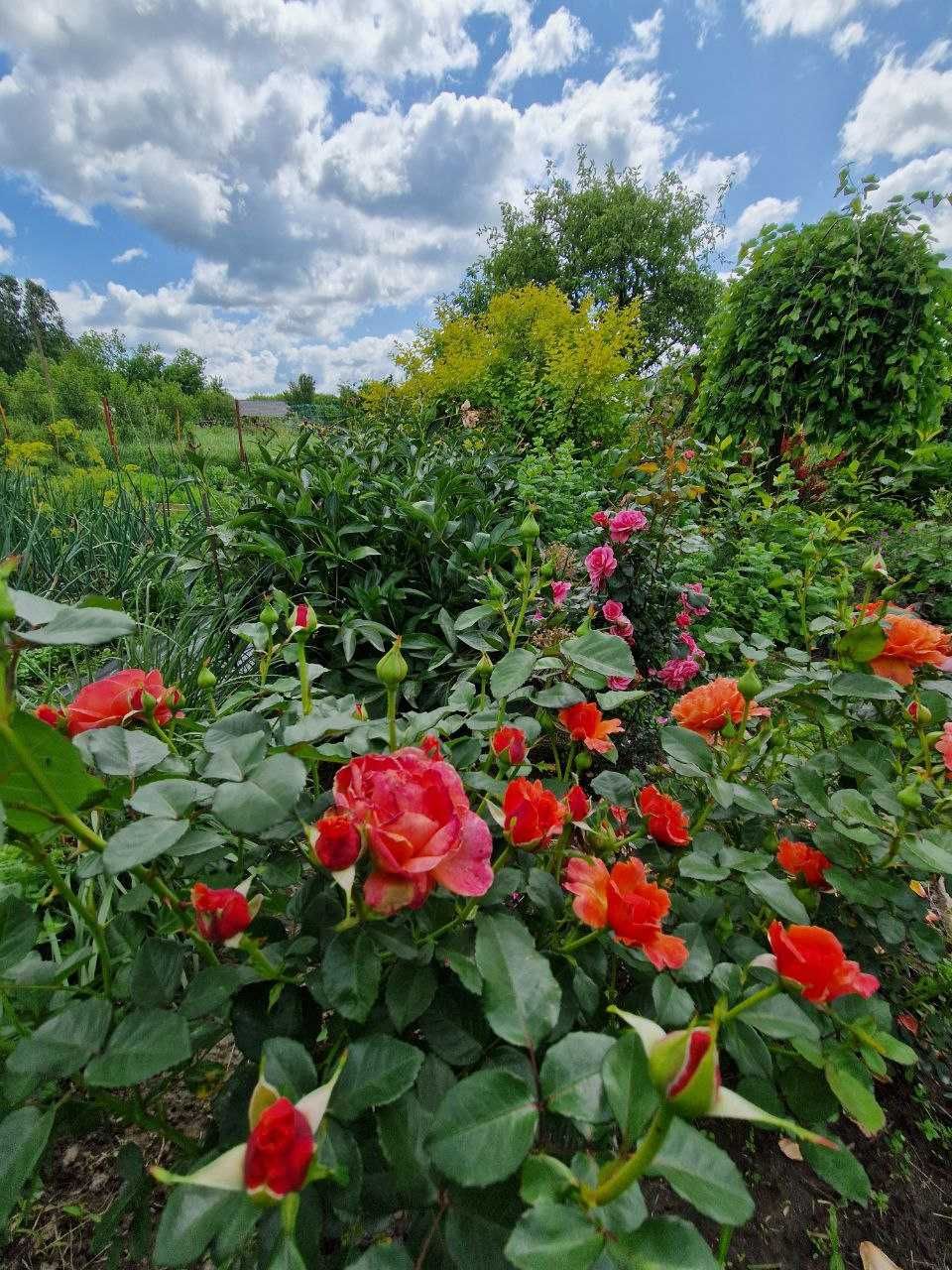 Продаж затишного будинку, недалеко від річки