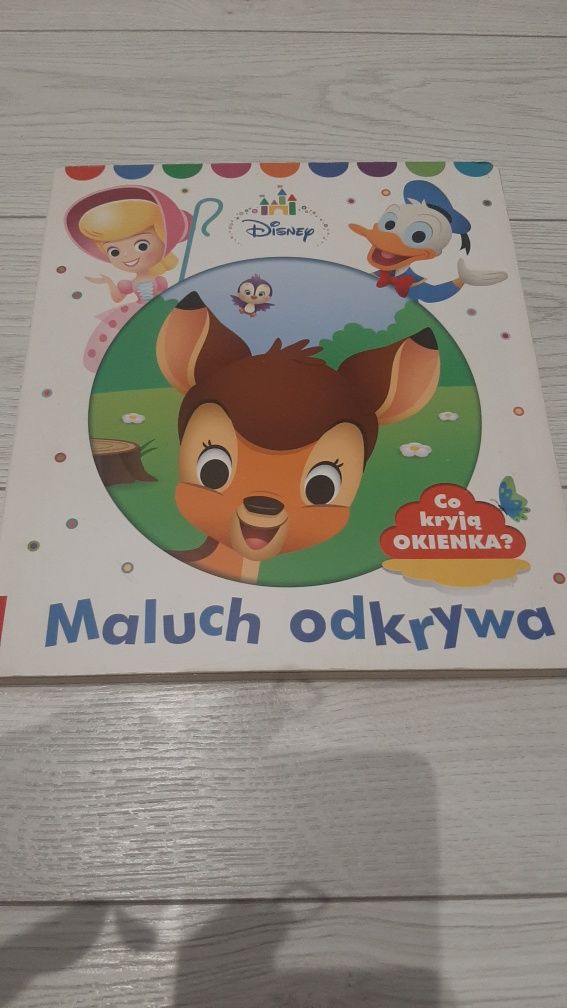 Maluch odkrywa ksiazeczka z okienkami