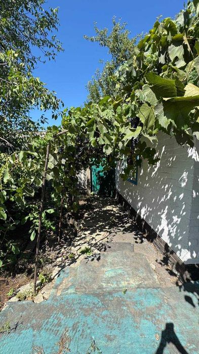 Будинок 30 км. від Полтави   с. Пальчиківка (Кірове)