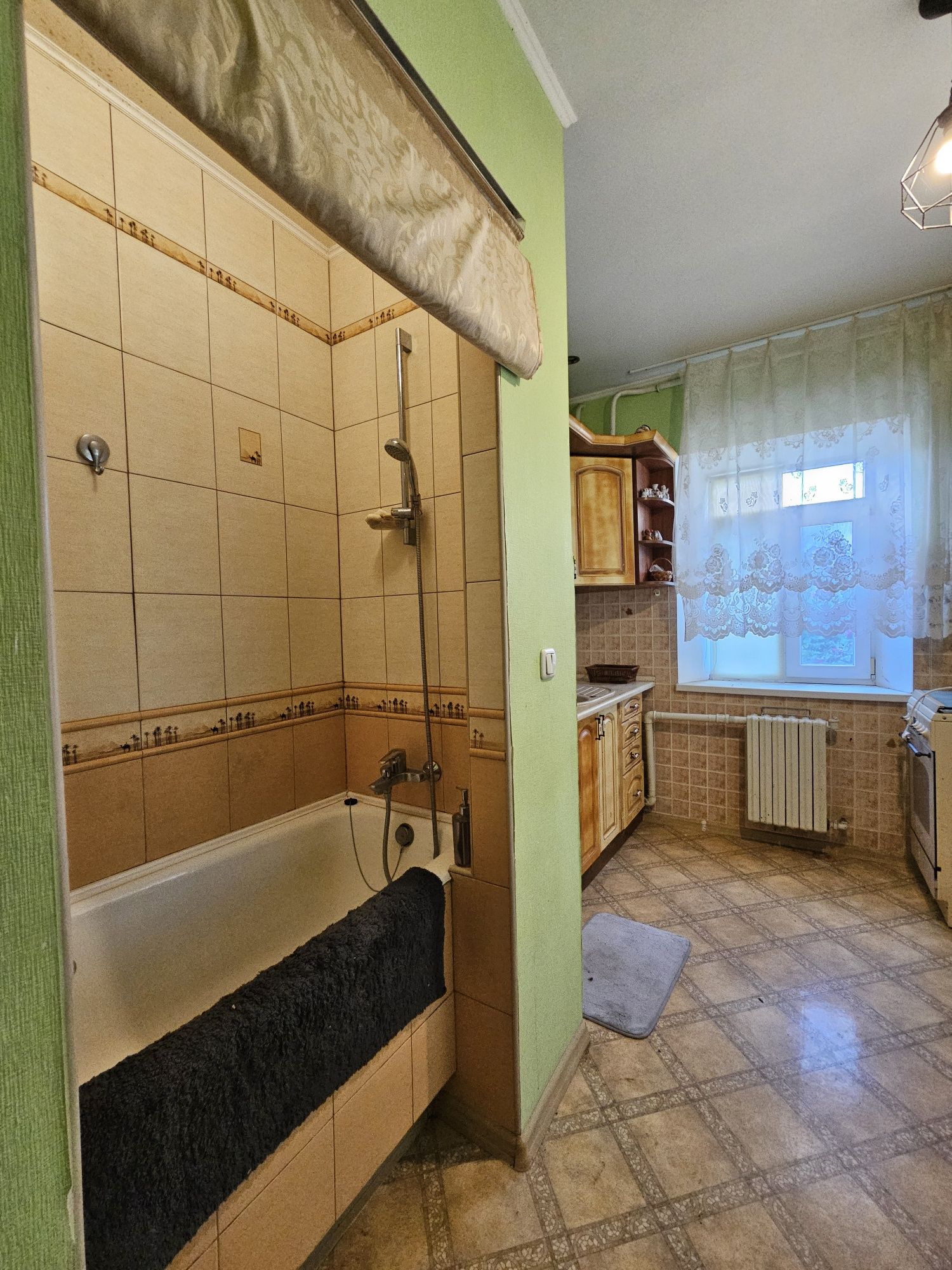 Оренда будинку в Діївці