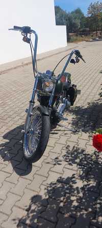 Harley davidson fxst