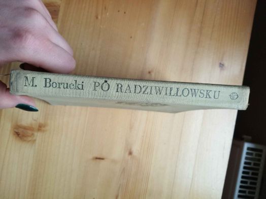 Po radziwiłłowsku : o życiu i działalności politycznej wojewody wileńs