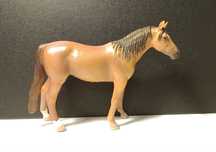 Klacz rasy Russian Don Collecta.