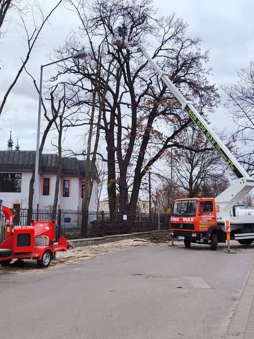 Wycinka drzew ,pielęgnacja drzew -usługi podnośnik koszowym ,zwyżka,