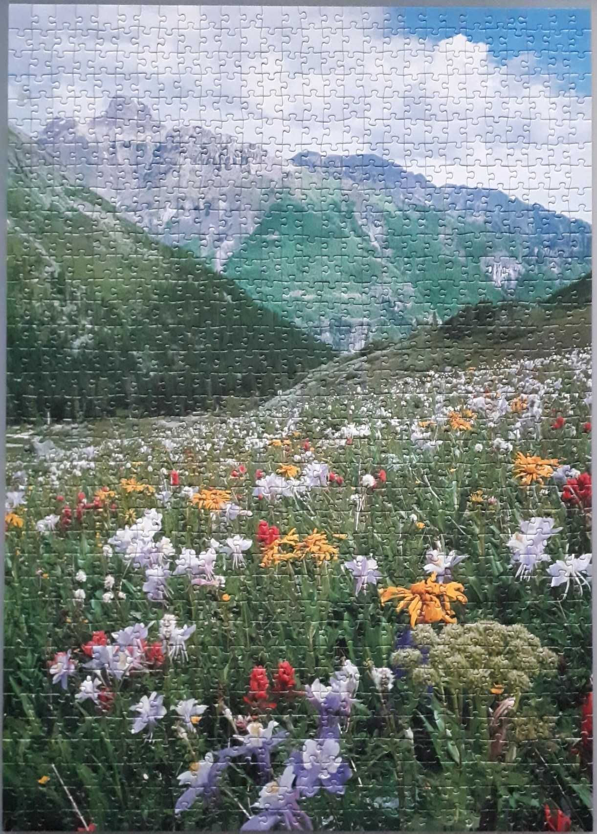 Puzzle 1000 Ravensburger Łąka u podnóża Mount Sneffles