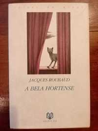 Jacques Roubaud - A bela Hortense