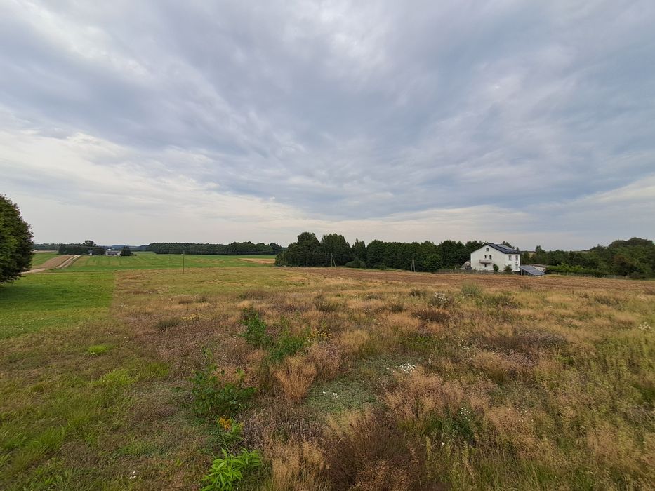 Budowlana działka Rybno!