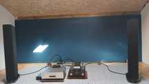 Kolumny Goldenear Triton Five