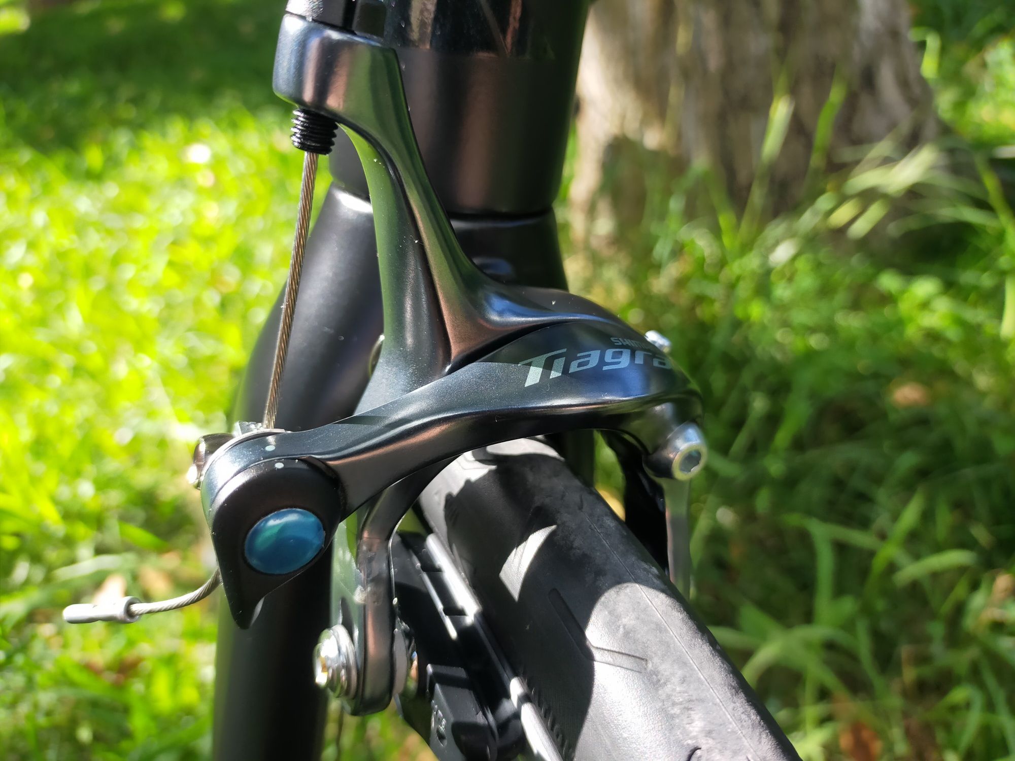 Canyon endurance AL 6 RB