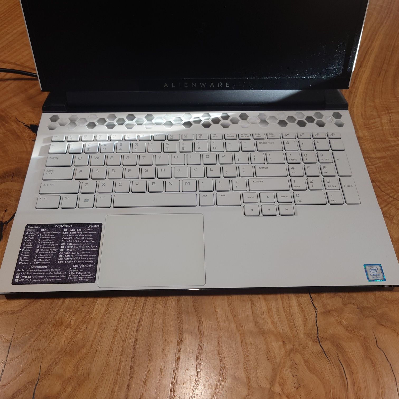 Alienware m17 R2 i9-9880/16GB/ Rtx 2080 1TB