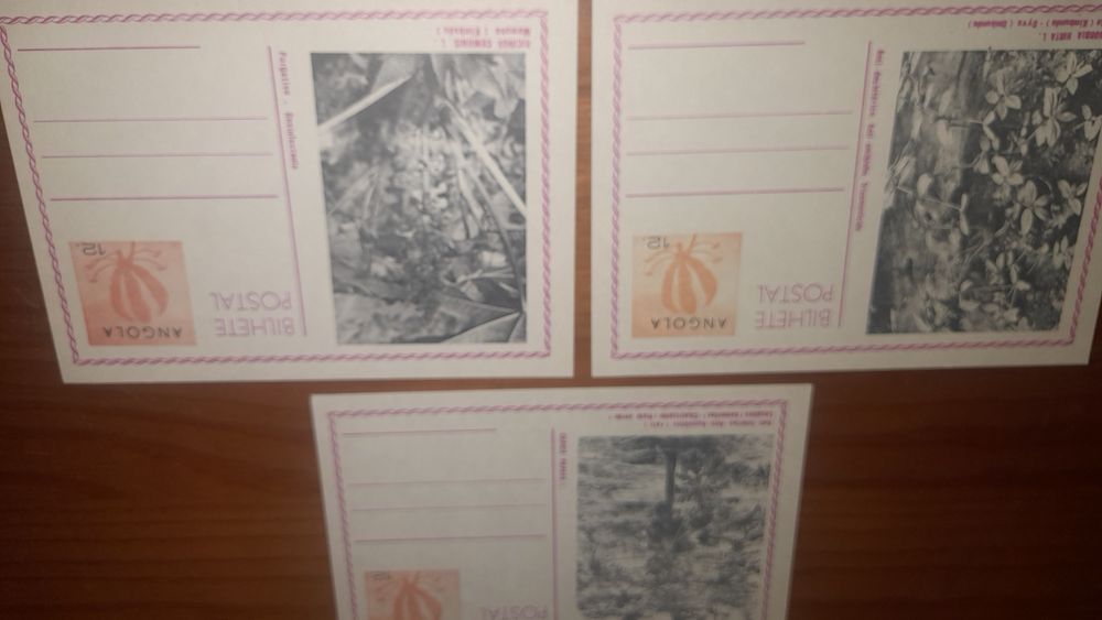 10 postais Angola