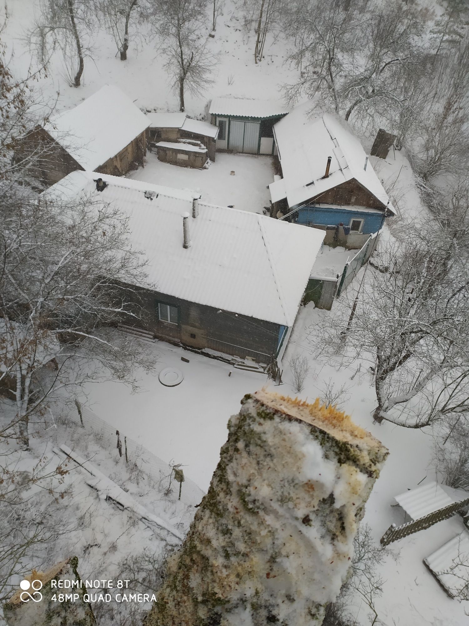 Професійне спилювання проблемних дерев