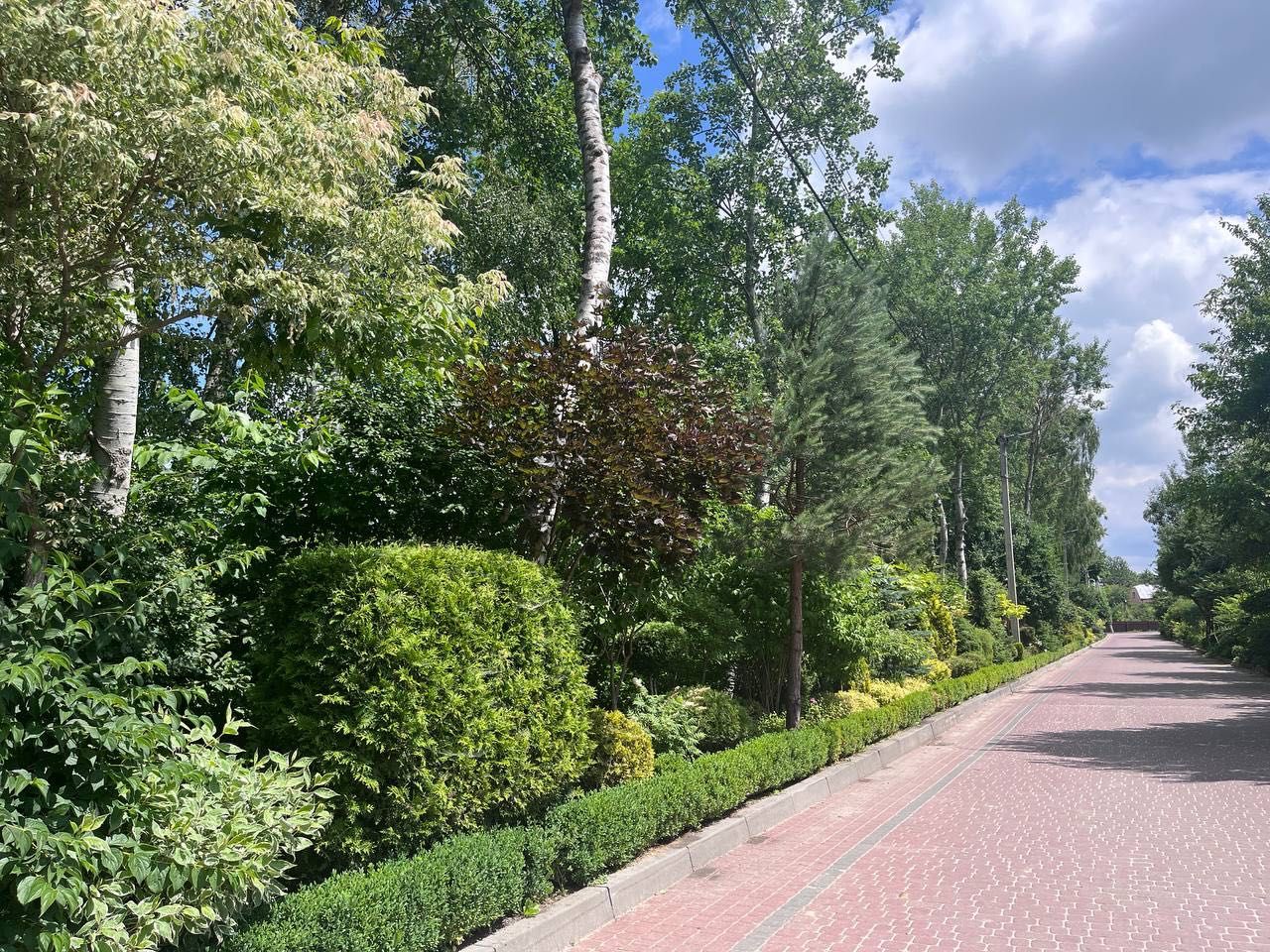 Продаж ділянки в передмісті Львова в с. Рясне - Руське