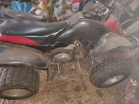Quad bashan 200.
