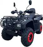Квадроцикл FORTE ATV-250BS | 250 см³ | Новий рівень драйву!