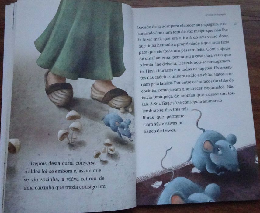 A Viúva e O Papagaio de Virginia Woolf