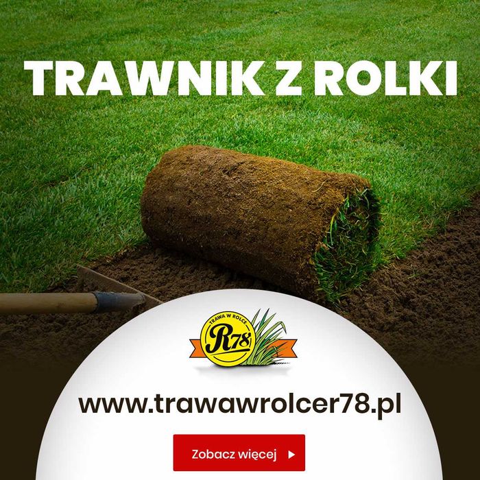 Trawa z rolki/ Producent