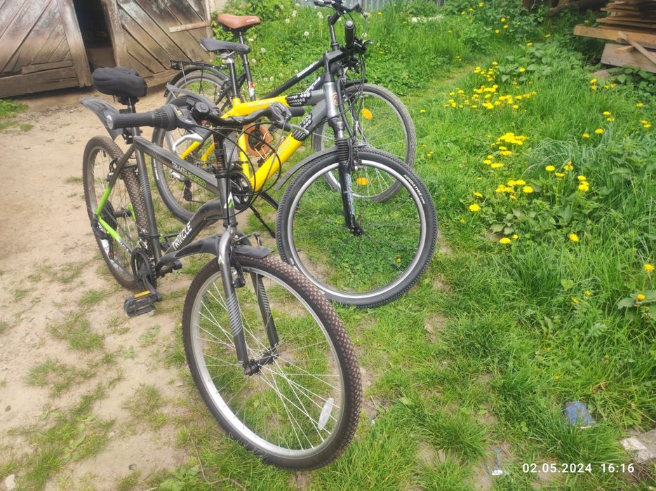 Прокат Велосипедів Сколе.оренда