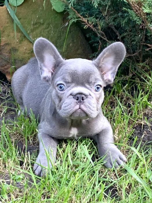 Молодий шикарний красень