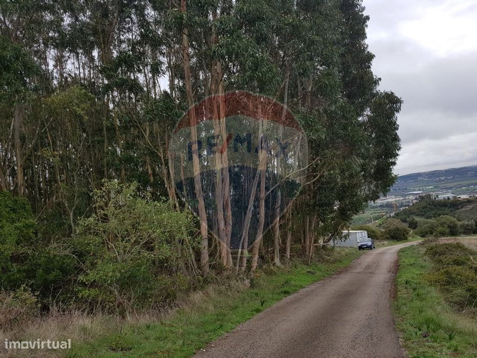 Terreno  para venda