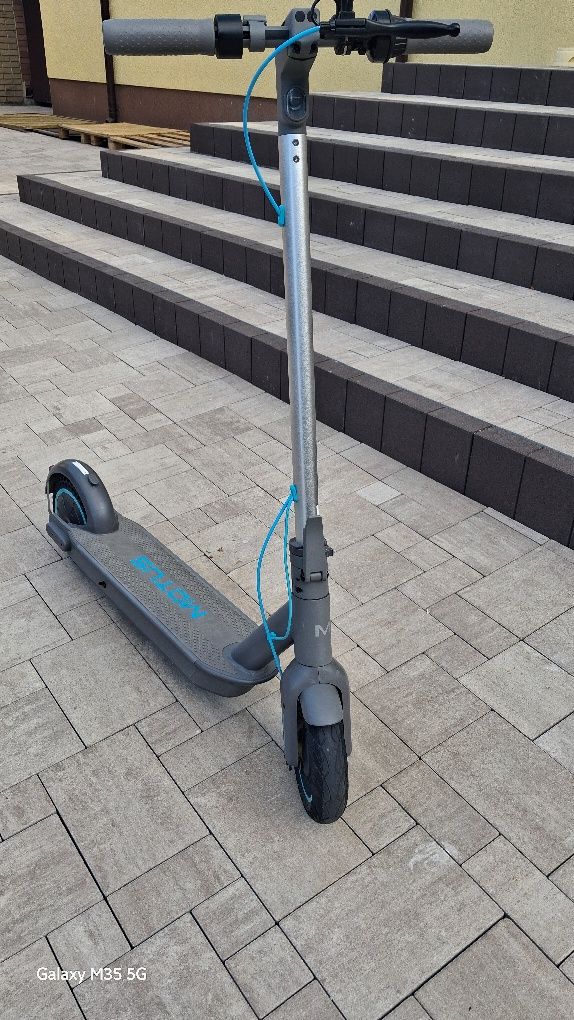 Motus scooty 10 2022