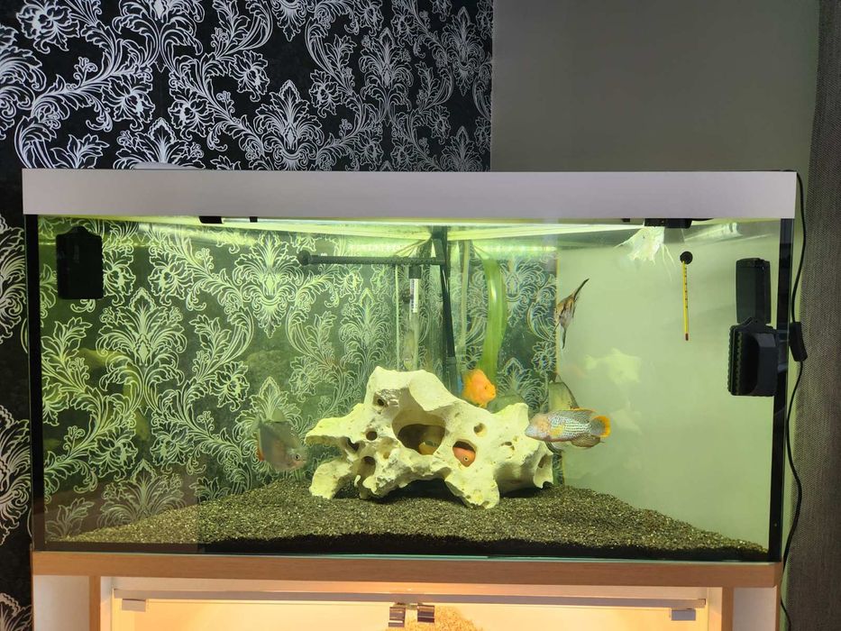 Акваріум на 200 літрів з тумбою самовивіз