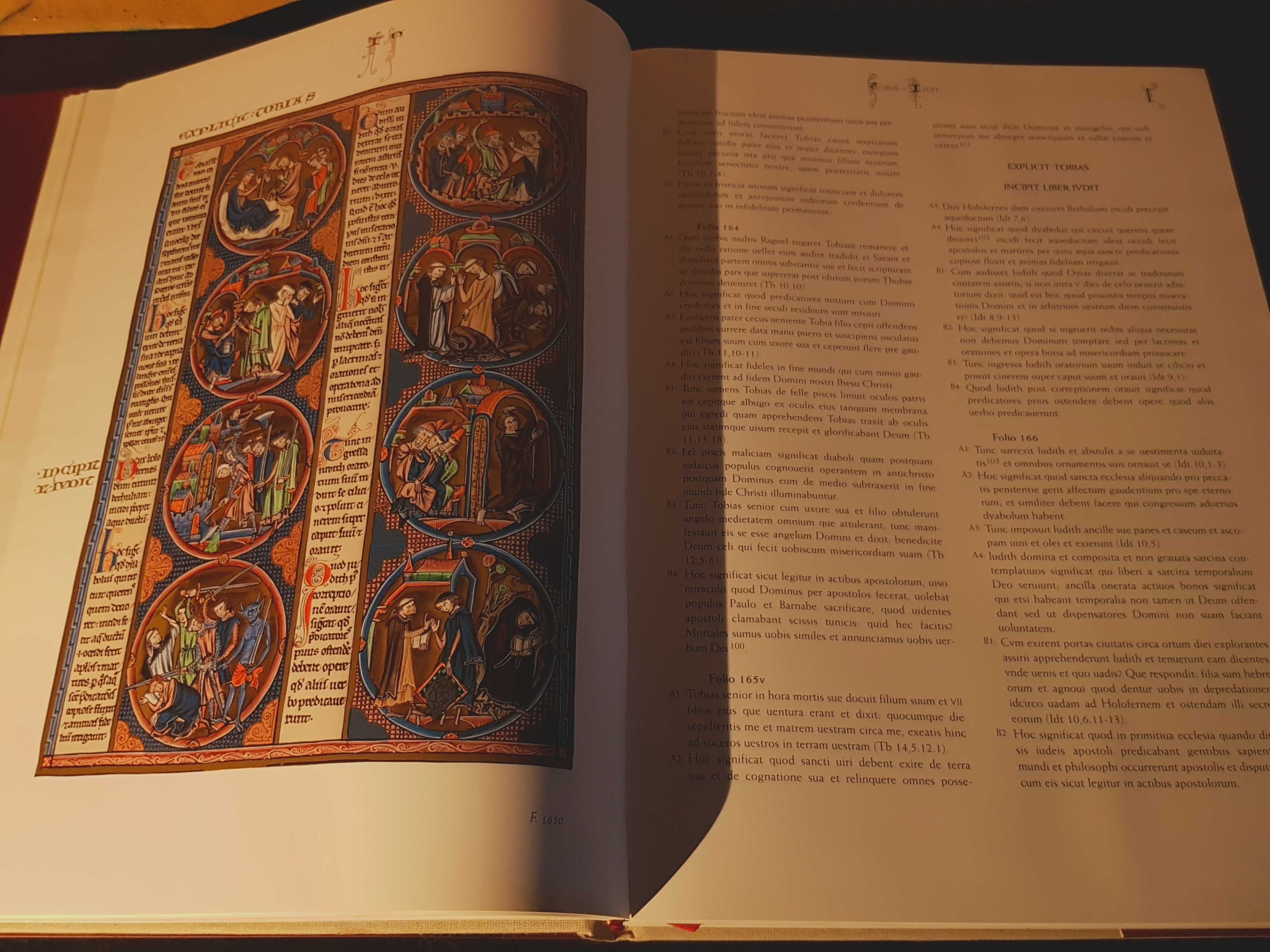 Bíblia de São Luís - Livro de Estudo