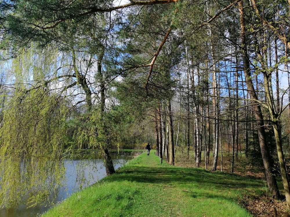 Domek w lesie, grill, kort, plaża, stawy niedaleko Warszawy