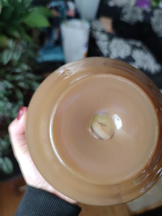 Popielniczka osiołek