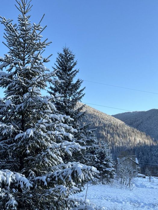 Будинок в горах. Карпати.З ремонтом і технікою!
