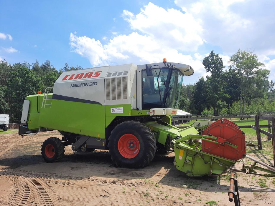 Usługa koszenie zbóż, rzepaku i kukurydzy. N.Tomyśl/Zbąszyń /Tuchorza