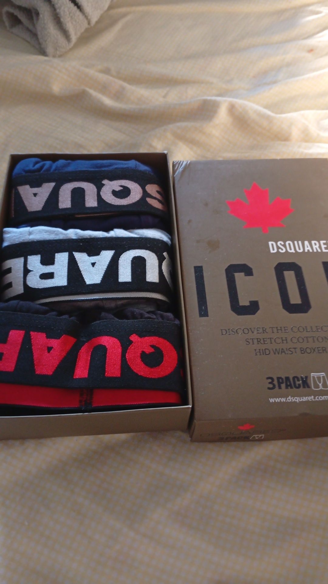 Boxer dsquared icon
