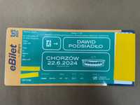 Bilety VIP na koncert Dawida Podsiadło Chorzów 22.06.2024 /2 SZT