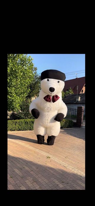 Żywa maskotka skolim, biały miś na imprezę, animator, dj na imprezę