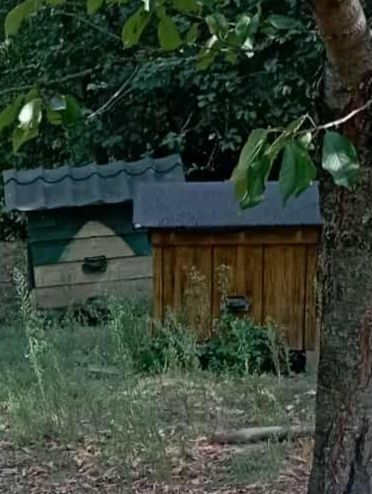 Ul, 10sztuk uli w dobrym stanie
