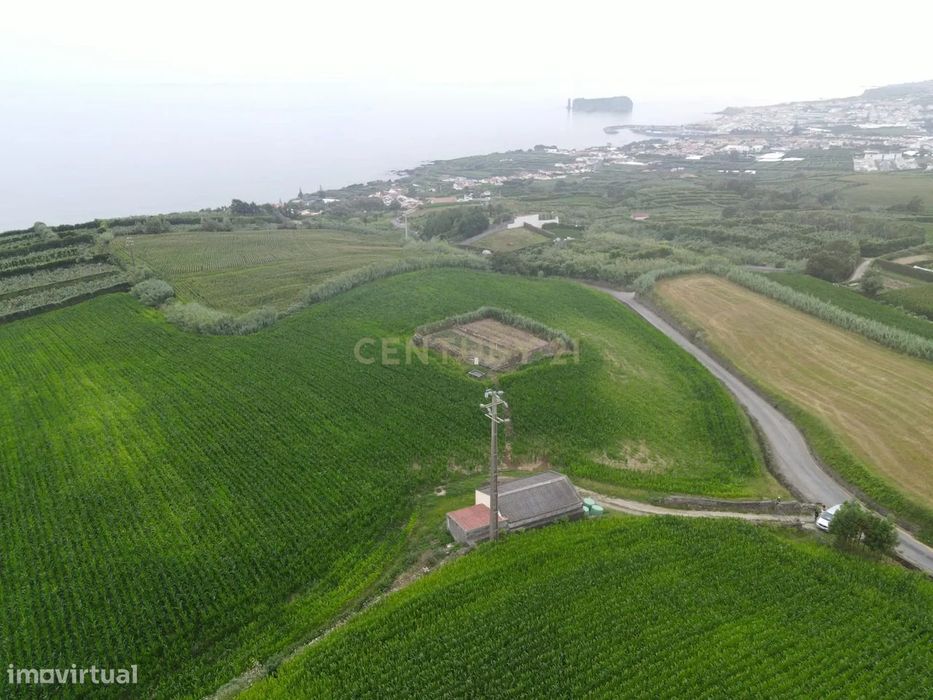 Terreno Agrícola com Armazém e Vista Mar — Um Refúgio Natural na Ribei