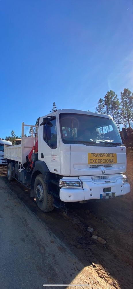 Camião Renault 270 dci 19T Grua Fassi