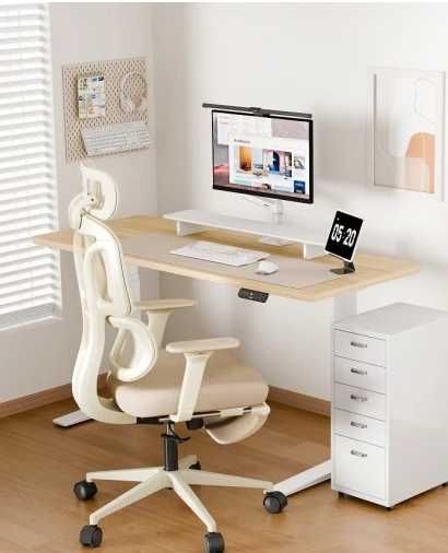 FlexiSpot Biurko Elektryczne z Regulacją Wysokości 160x60 cm