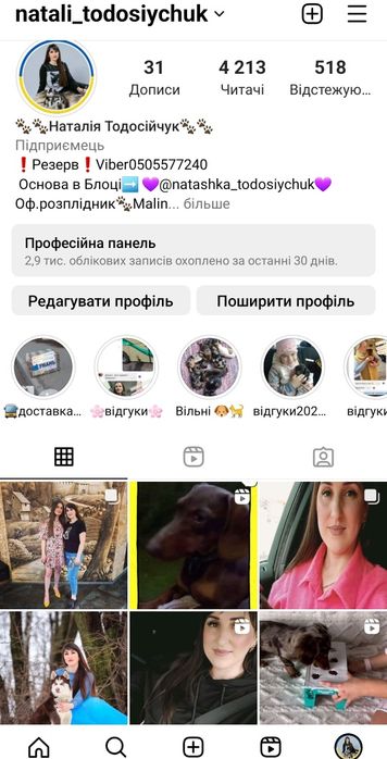 Цуценята такси, мініки і стандарти