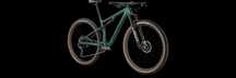 Specialized Epic Expert Carbon Gloss/Chameleon Eyris Tint/ Black T-M