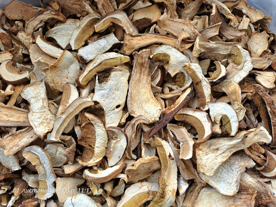 Білі гриби сушені з Карпат! 3л відерце