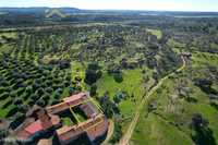 Quinta  Venda em Escalos de Baixo e Mata,Castelo Branco