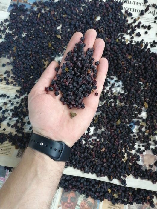 Чорниці сушені продаж