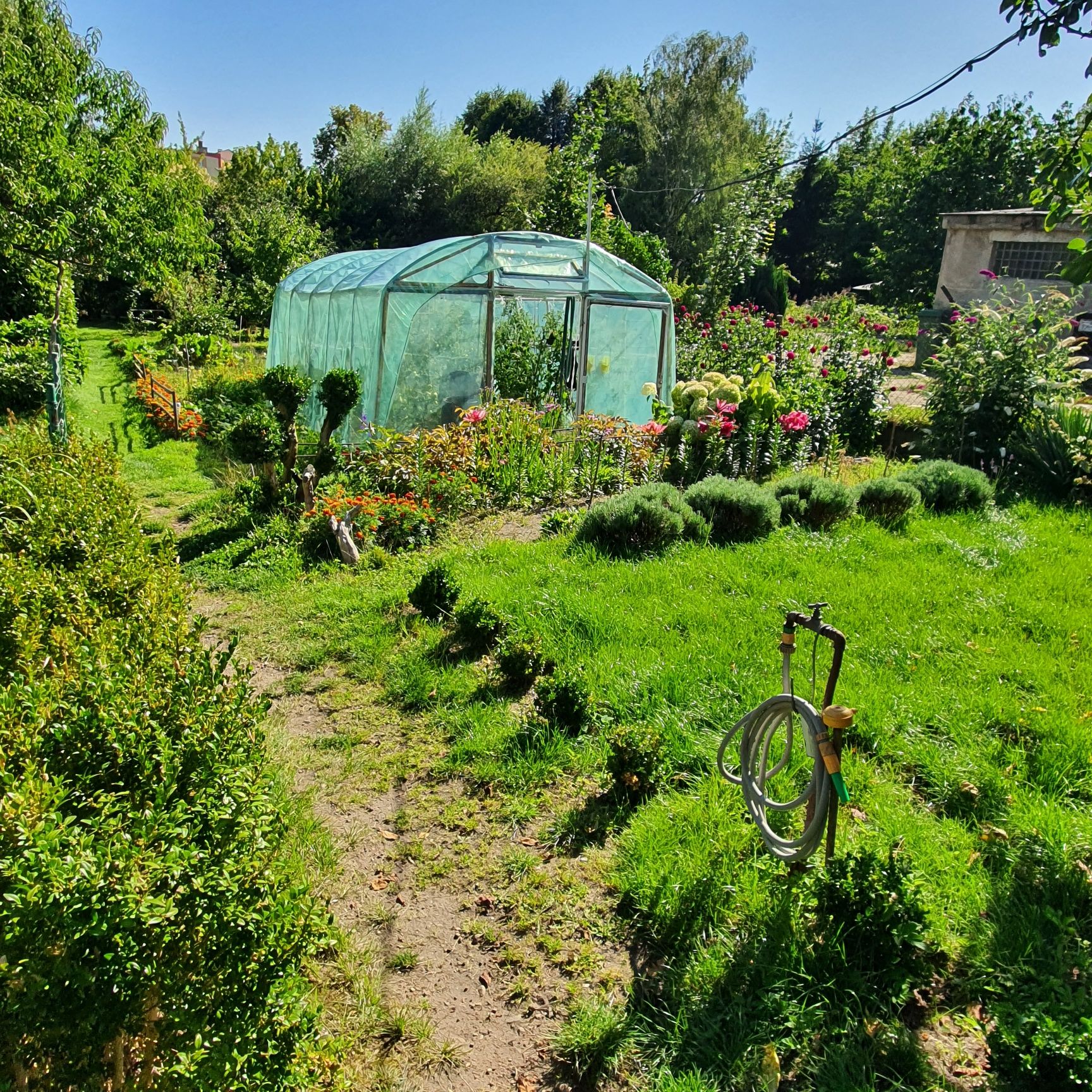 Duże mieszkanie bezczynszowe w centrum z garażem i ogrodem